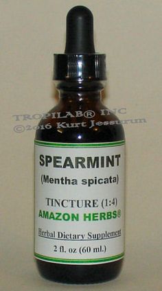 Spearmint Tincture Diy, Spearmint Tincture, Mint Tincture, Herbal Medicine Cabinet, Spearmint Tea, Herbal Coffee, Diy Laundry Detergent, Smoothie Bowl Healthy