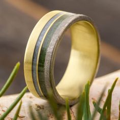 a yellow and black ring sitting on top of a rock next to some green grass