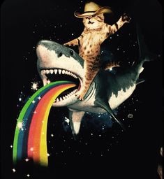 a cat riding on top of a shark with a rainbow in its mouth and wearing a cowboy hat