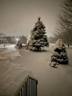 snow covered trees in front of a house at night