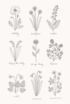 the different types of flowers are shown in black and white