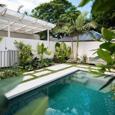 an outdoor swimming pool surrounded by greenery and palm trees in the back yard area