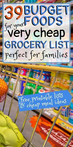 grocery list for families with shopping cart full of groceries in the background and text overlay that reads, 30 budget foods very cheap grocery list perfect for families