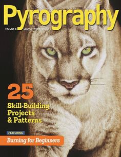 a magazine cover with a cat on it's front and the words, photography 25 skill - building projects & patterns burning for beginners