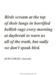 birds scream at the top of their lungs in horrified hells rage every morning at daybreak to warn us all of the truth, but badly we don't speak bird