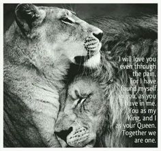 two lions cuddling together with each other and the caption reads, when she comforts me nothing else matters