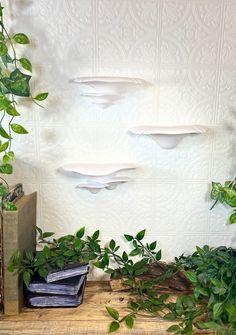 some books and plants on a wooden table