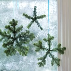 three evergreen branches hanging from a window sill in front of frost covered windowsill