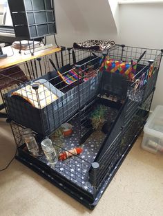 the cage is full of many things to put in it's storage bins