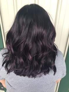 Purple Hair Colour On Black Hair, Dark Brown Hair With Purple Lowlights, Black Purple Highlights, Purple Hair Subtle, Purple Glaze Hair, Subtle Purple Highlights For Dark Hair, Professional Purple Hair, Hint Of Purple Hair, Brunette With Purple Undertones