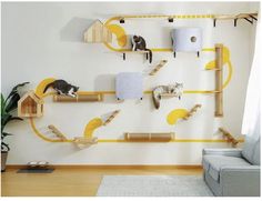 a living room with cat toys and shelves on the wall