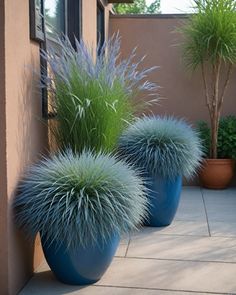 two large blue vases filled with plants next to a wall and potted plant