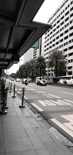 an empty city street with tall buildings and palm trees in the background on a cloudy day