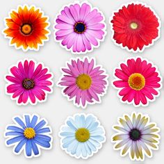 six different colored flowers stickers on a white background