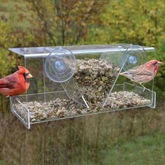 two red birds are eating from a bird feeder in front of some trees and bushes