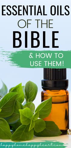 Use Of Essential Oils, Bible Essential Oils, Essential Oils Must Haves, Essential Oils Benefits Chart, What Essential Oils Do What, Essential Oils Spiritual Uses, How To Use Essential Oils, Oils Of The Bible