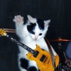 a black and white cat playing with a yellow guitar