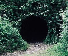 a dark tunnel in the middle of some trees