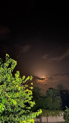 the night sky is dark and full of clouds, with trees in the foreground