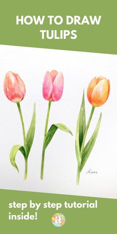 how to draw tulips step by step in watercolor and ink on paper