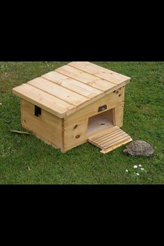 a tortoise shell laying on the ground next to a wooden birdhouse with its door open