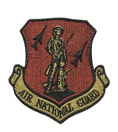 an air national guard patch with the words air national guard in gold and red on it