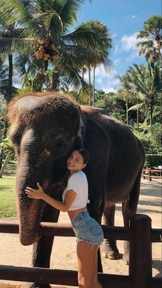 a woman standing next to an elephant behind a wooden fence with palm trees in the background