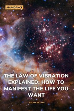 the law of vibration explains how to maintain the life you want