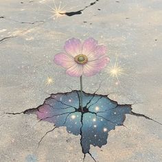 a pink flower sitting on top of a puddle in the middle of concrete flooring