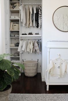 a baby's closet with clothes hanging on shelves and a potted plant in the corner