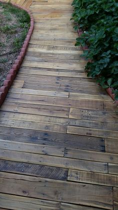 a wooden walkway is lined with plants and shrubs