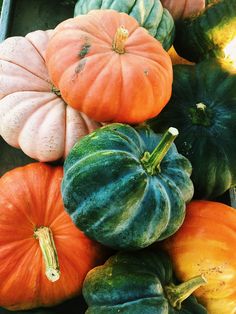 several different types of pumpkins are stacked together