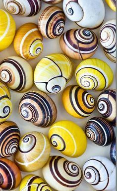 many different colored rocks with swirl designs on them