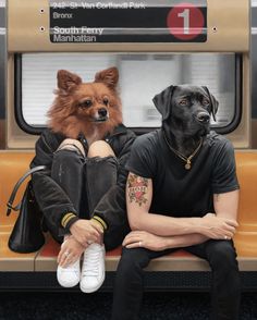 two dogs are sitting on the back of a bus with their owners in front of them