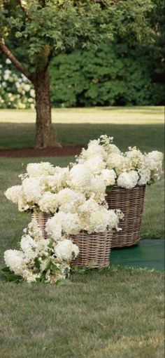 two wicker baskets filled with white flowers sit on the grass in front of a tree