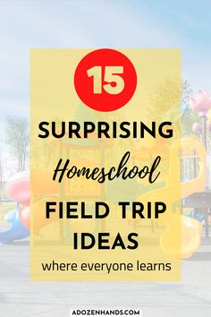 a playground with the text 15 surprising homeschool field trip ideas where everyone learns