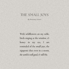 the small joys book with an open page