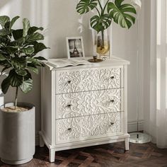 a white chest of drawers sitting next to a potted plant on top of a wooden floor