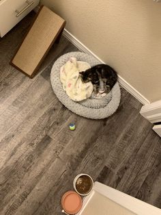 a black and white cat laying on top of a bed next to two bowls of food