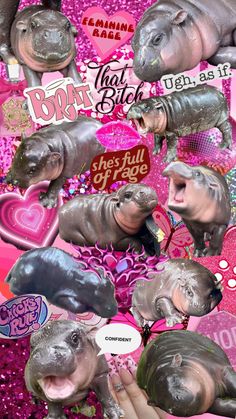 a collage of hippos and hearts with pink glitter