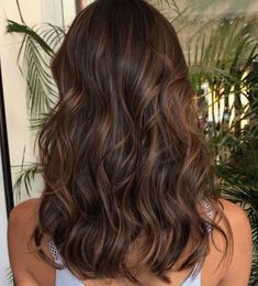 Hair With Highlights, Brown Hair With Highlights, Hair Inspiration Color