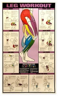 a poster with instructions on how to do leg workout