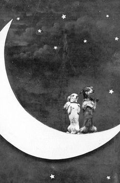 two teddy bears are sitting on the moon