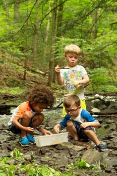 three children are playing with rocks in the woods