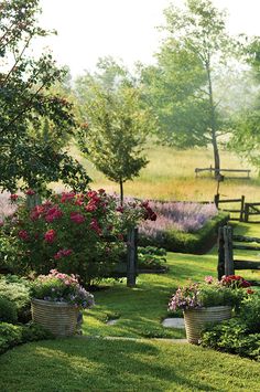 the garden is full of flowers and trees