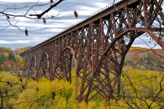 an old rusty bridge in the middle of autumn