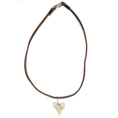 a necklace with a tooth on it and a leather cord hanging from the front, against a white background