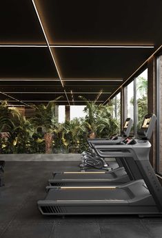 an indoor gym with treadmills and exercise equipment in the foreground, surrounded by palm trees