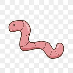 a pink worm on a white background