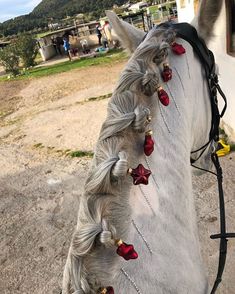 the back end of a white horse with christmas decorations on it's head and mane